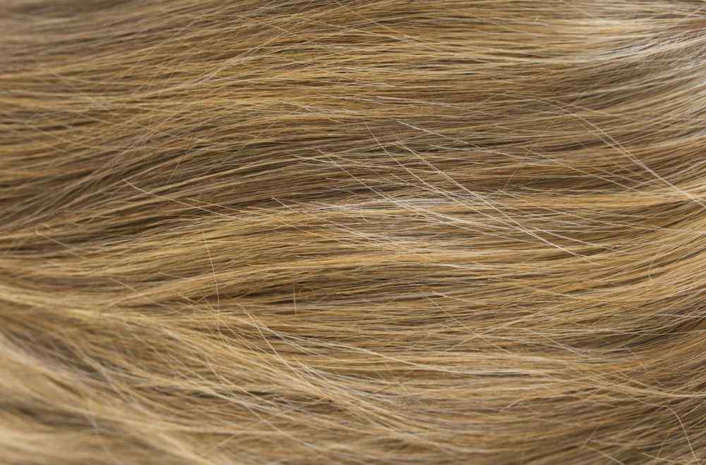 Sierra Wig - Hi Fashion.