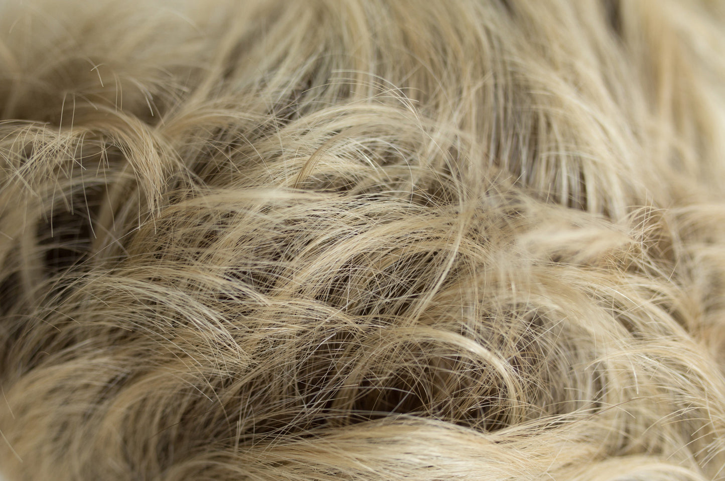 Jasmine Wig - Sentoo Lotus Collection