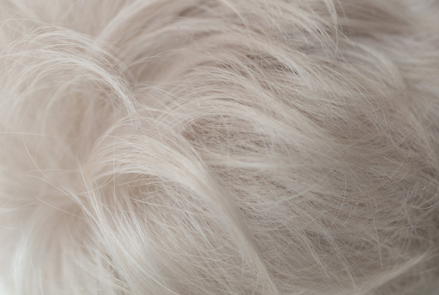 Jasmine Wig - Sentoo Lotus Collection