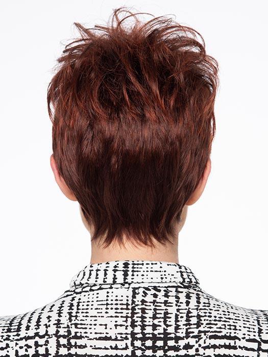 View from the back of Tigerlily