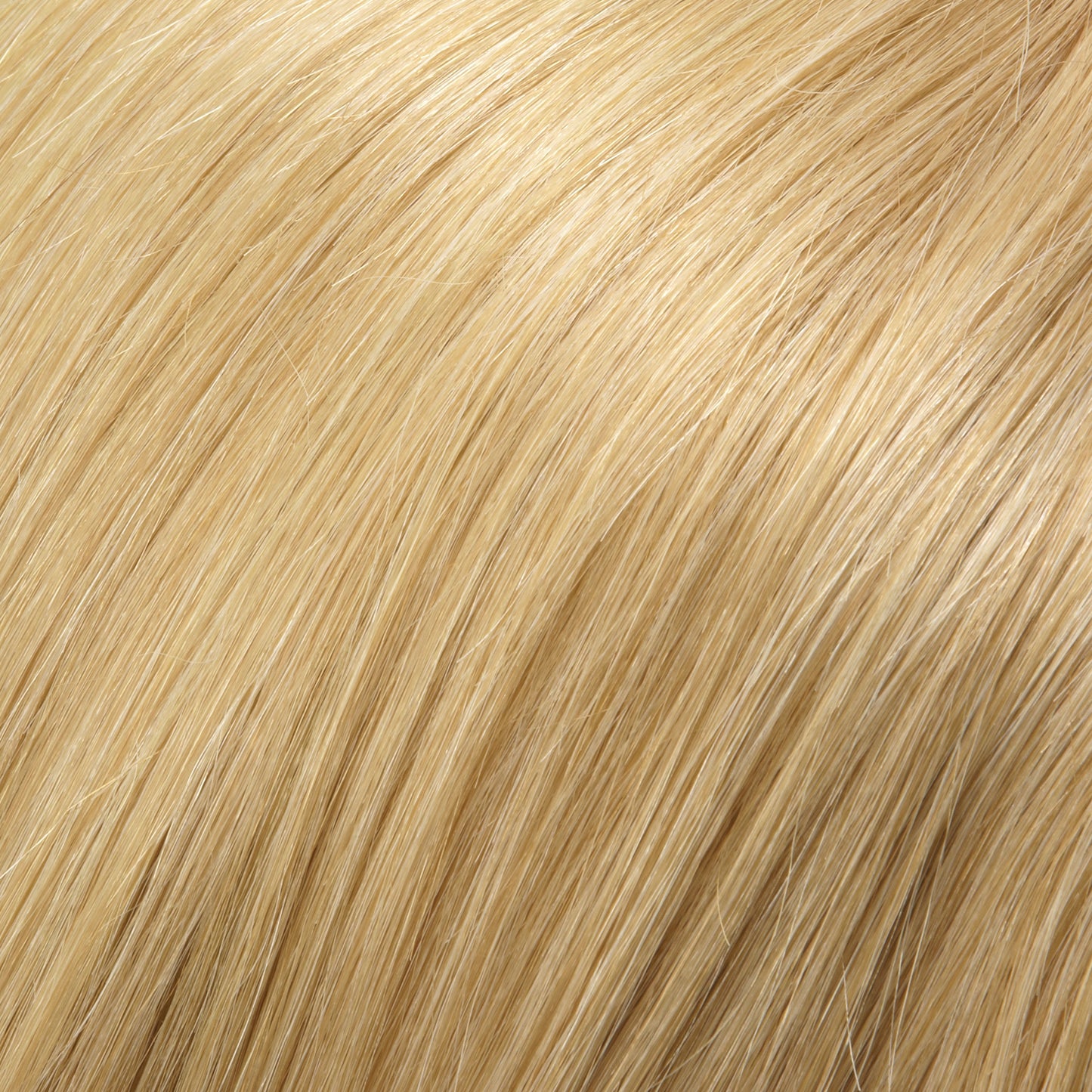 Carrie Wig - Jon Renau Smartlace Human Hair Wig