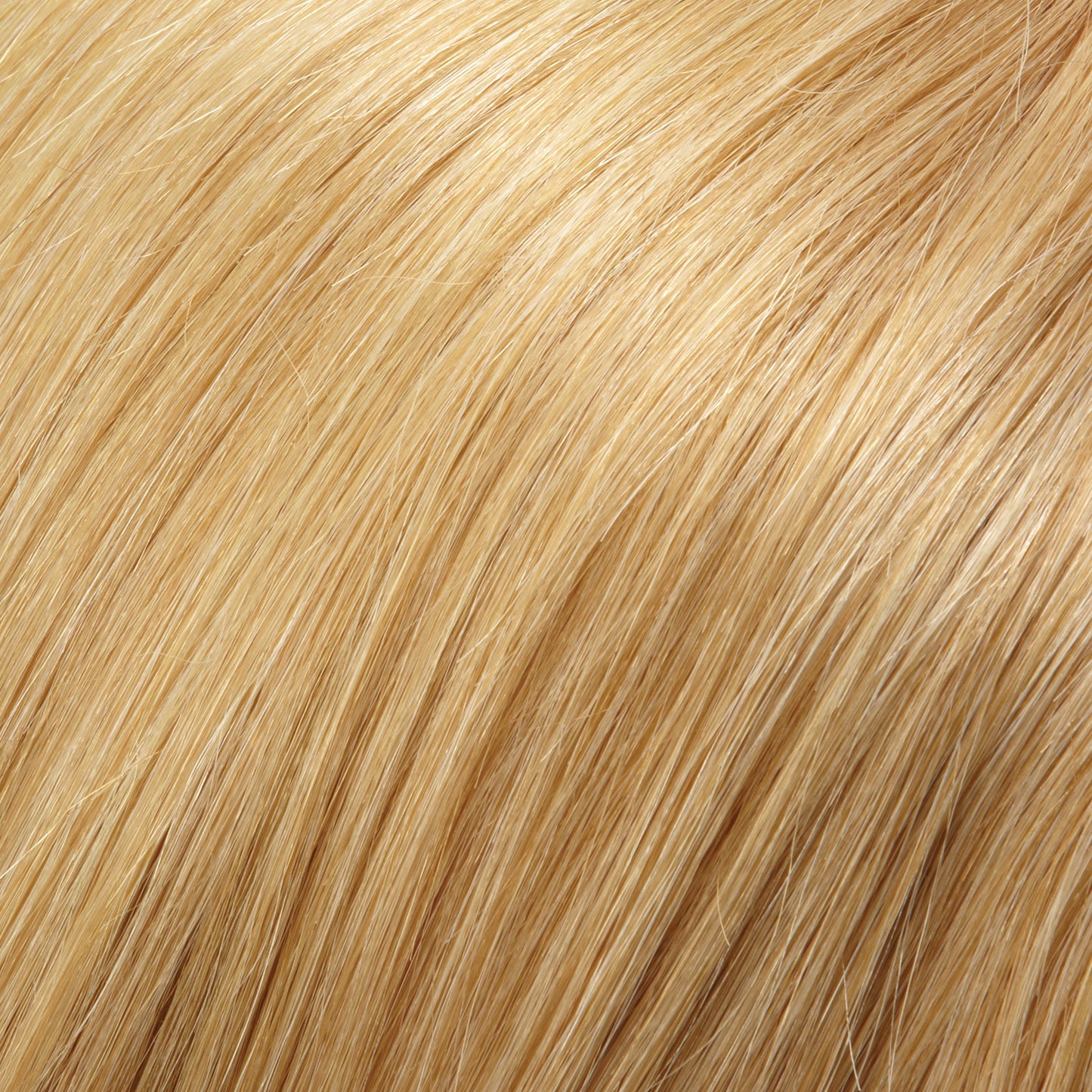 Gwyneth RENAU EXCLUSIVE - Jon Renau Smartlace Human Hair