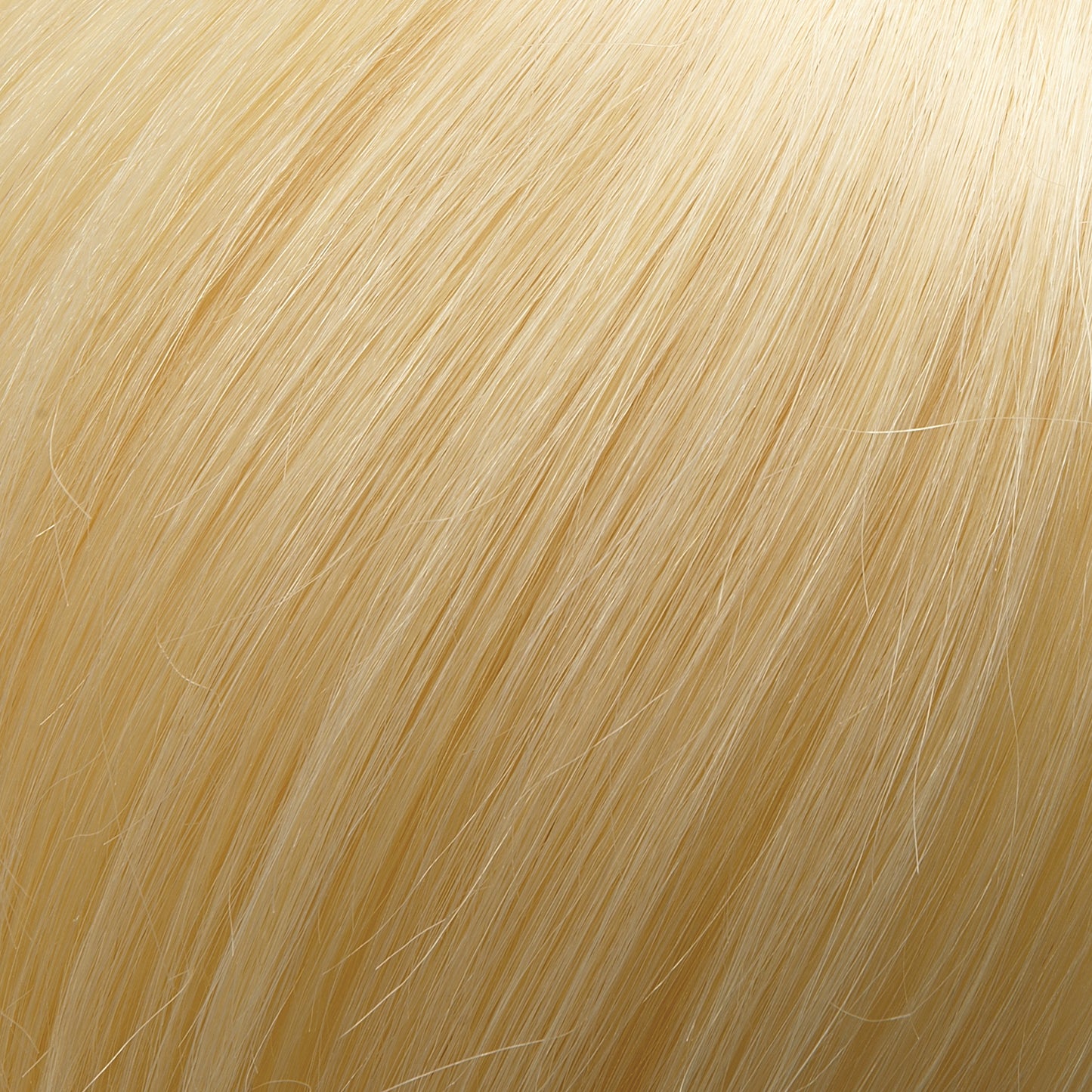 Easipart XL FRENCH Human Hair & RENAU EXCLUSIVE - Jon Renau Toppers