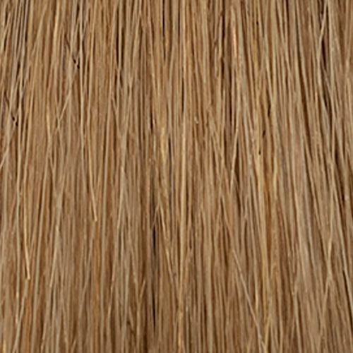 Elegance ~ Topper 100% Human Hair - Hair World