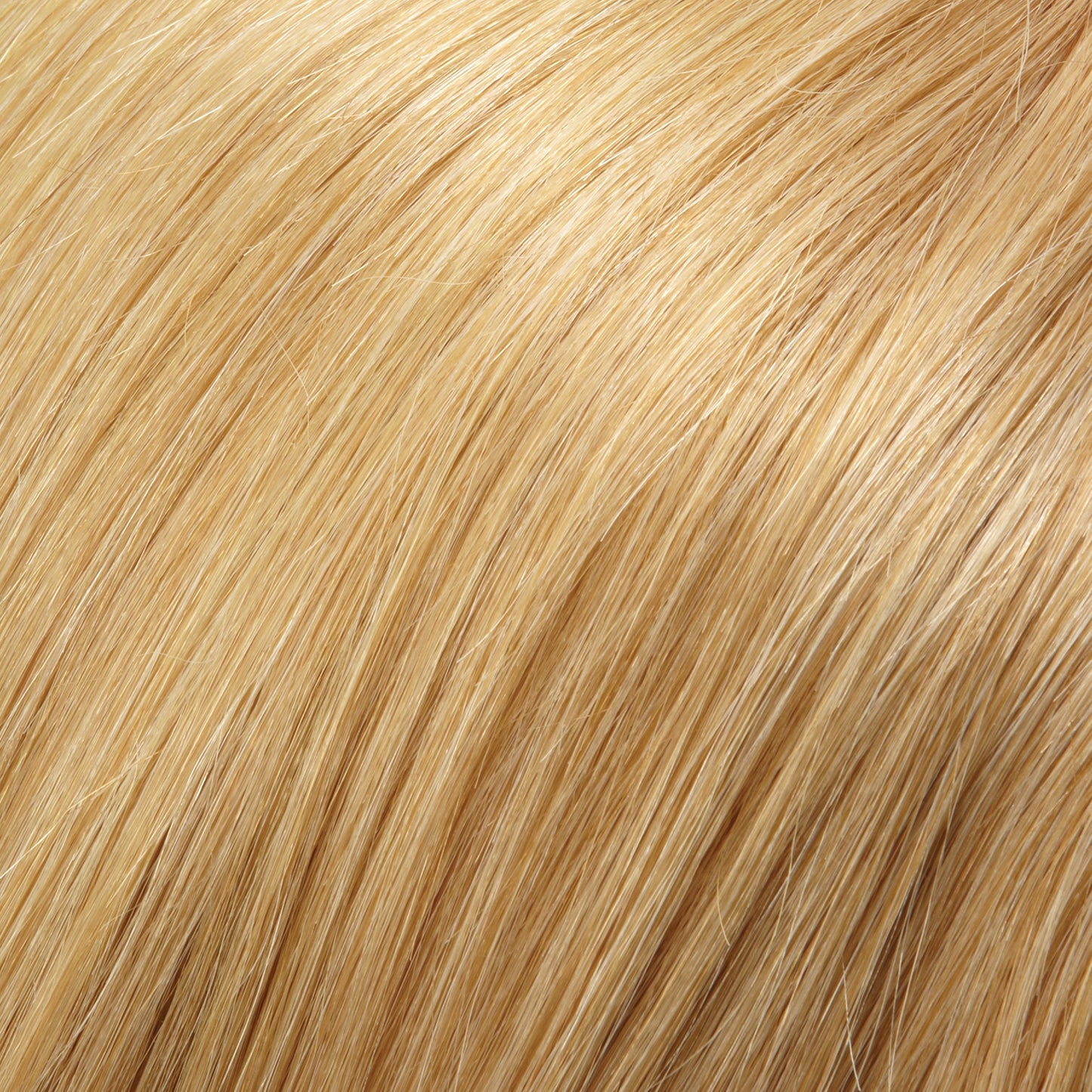 Sienna Lite Human Hair  - Jon Renau SmartLace Lite.