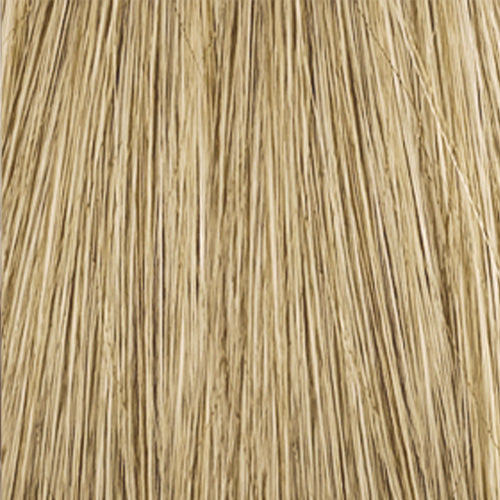 Eve Wig - Hair World