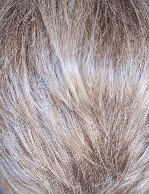 Collette Wig - The Petite Wig Company