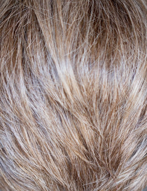 Collette Wig - The Petite Wig Company