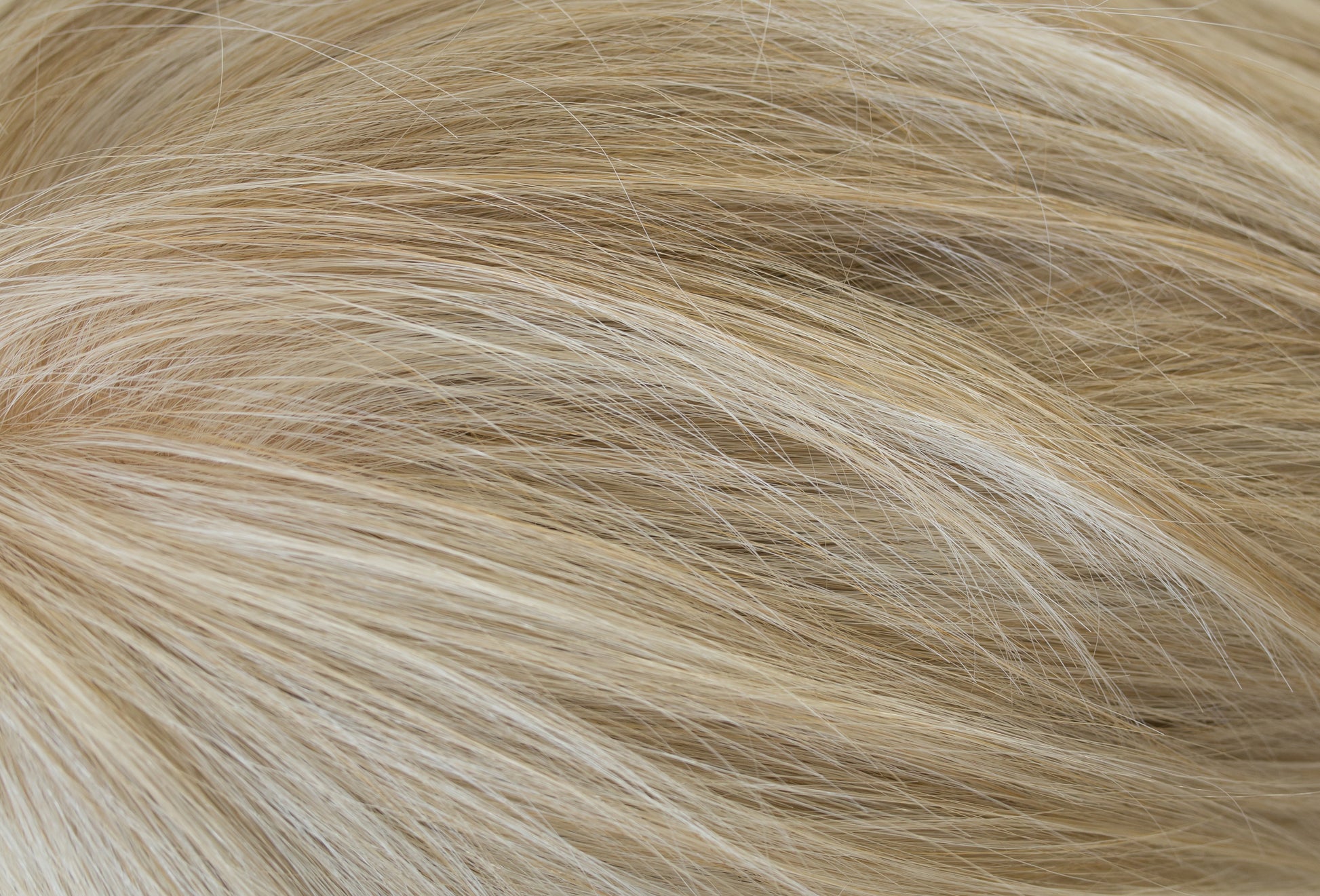 Close-up of blonde hair strands