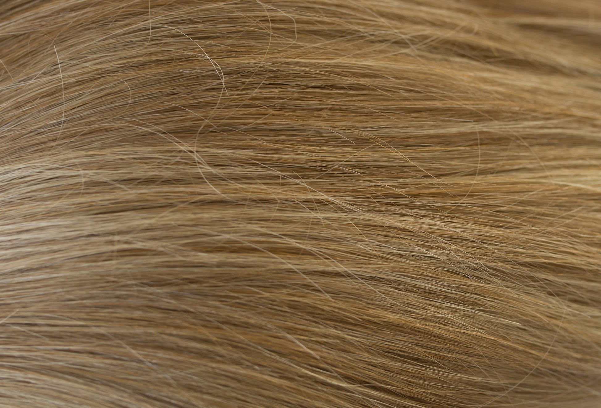 Close-up of blonde hair strands