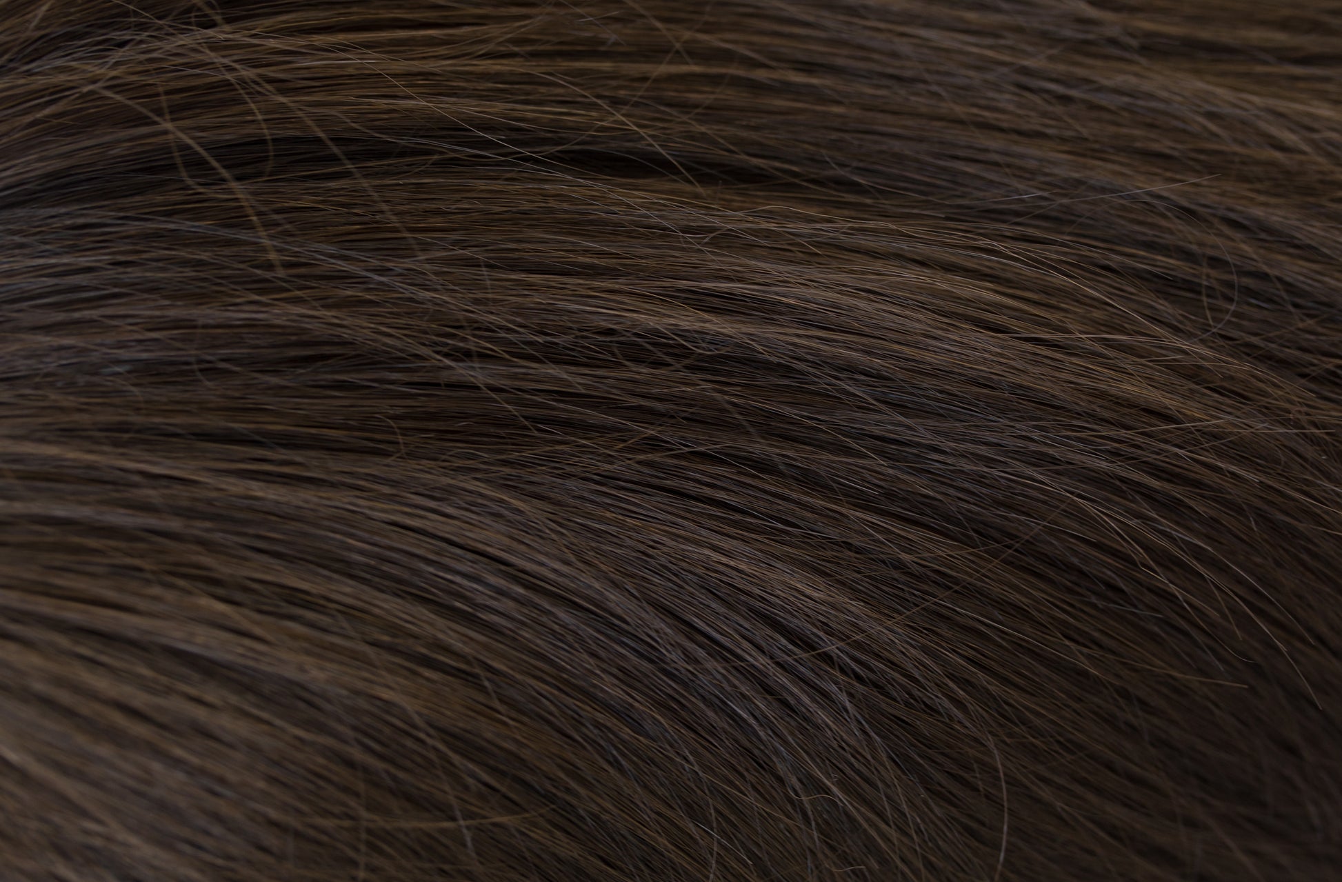 Close-up of dark brown fur texture