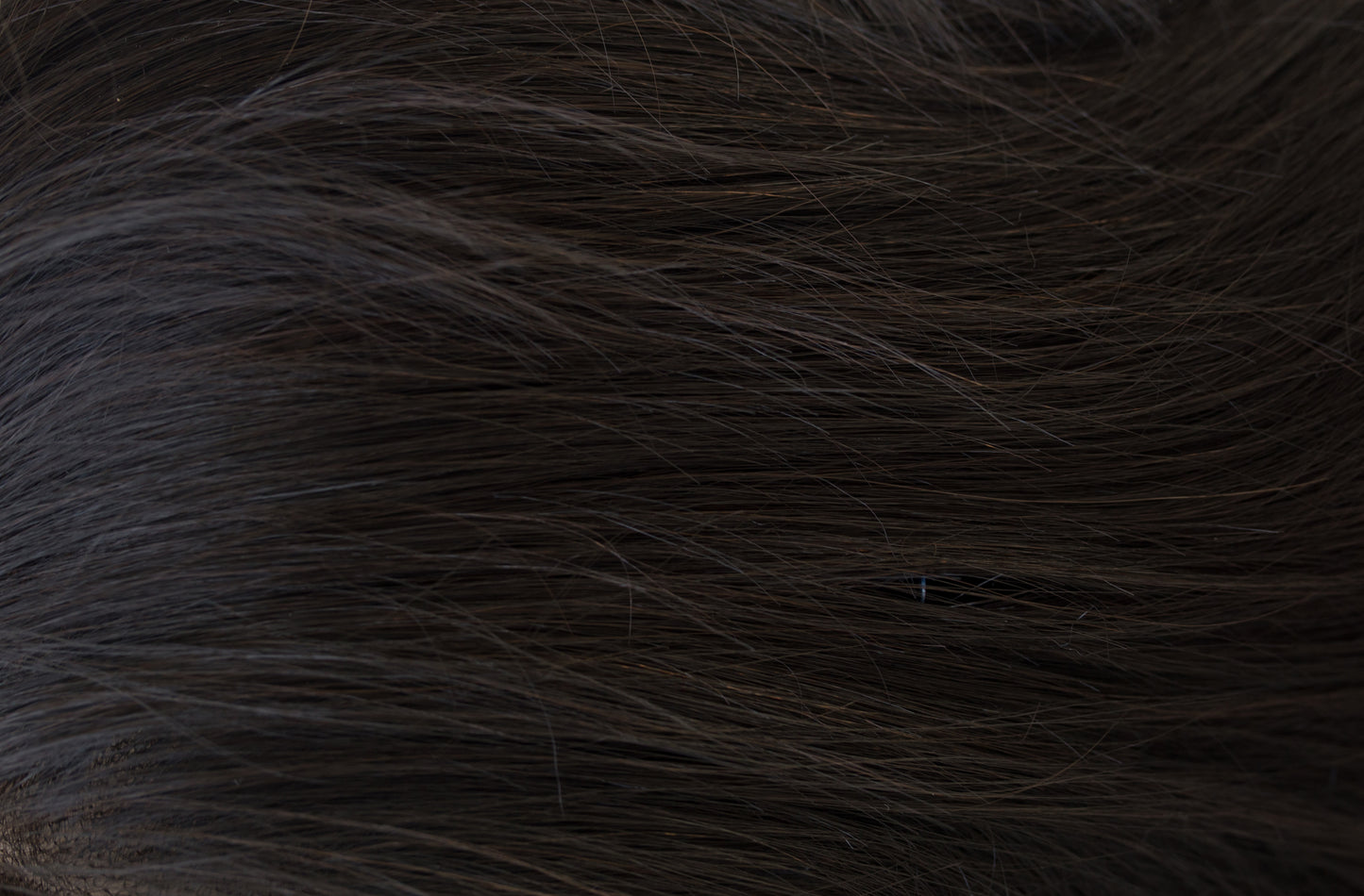 Close-up of dark brown fur texture
