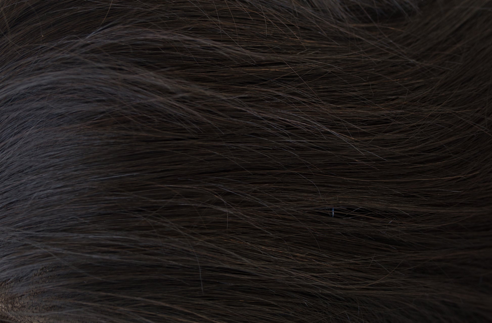Close-up of dark brown fur texture