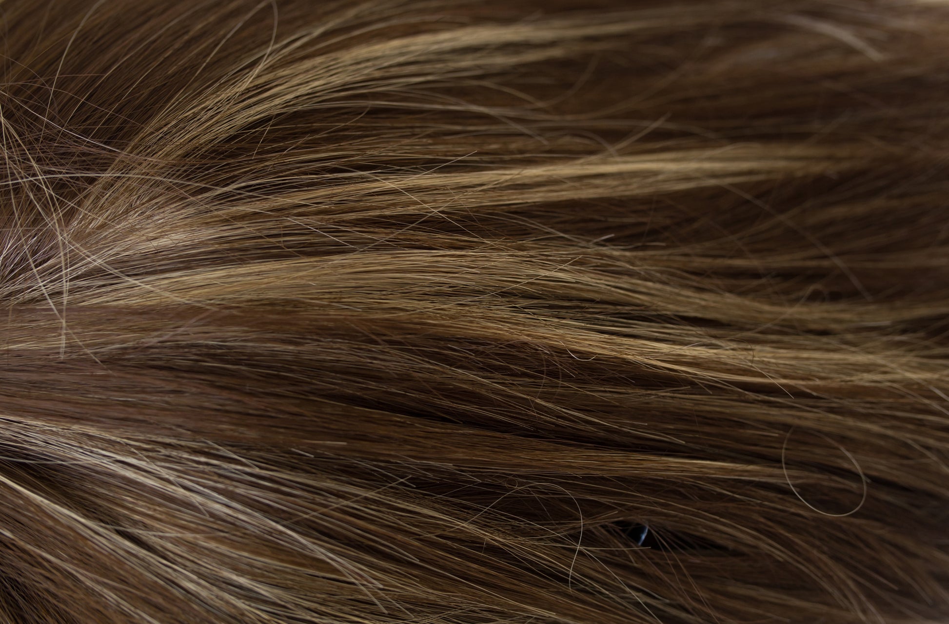 Close-up of brown hair strands