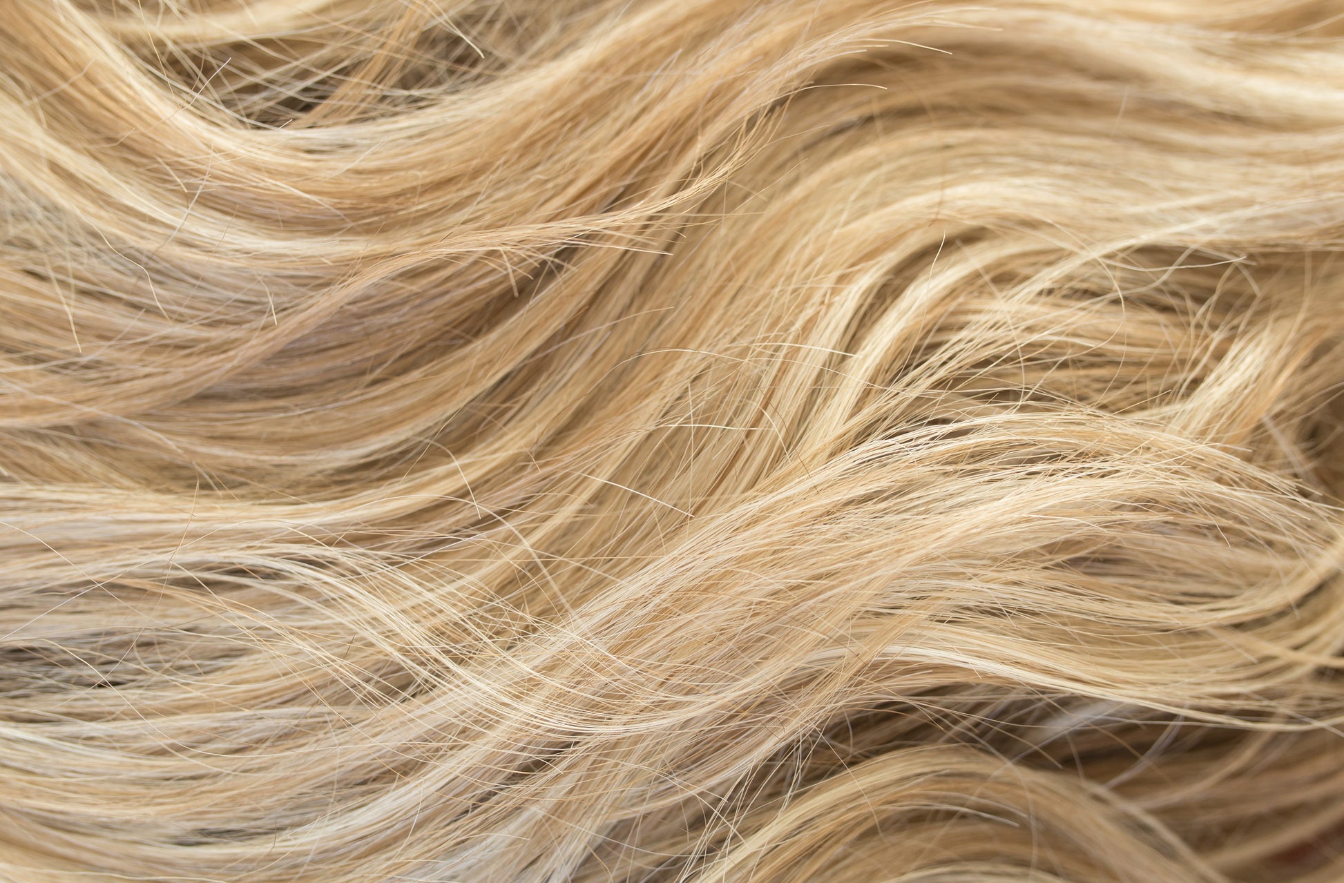 Close-up of blonde hair with a wavy texture