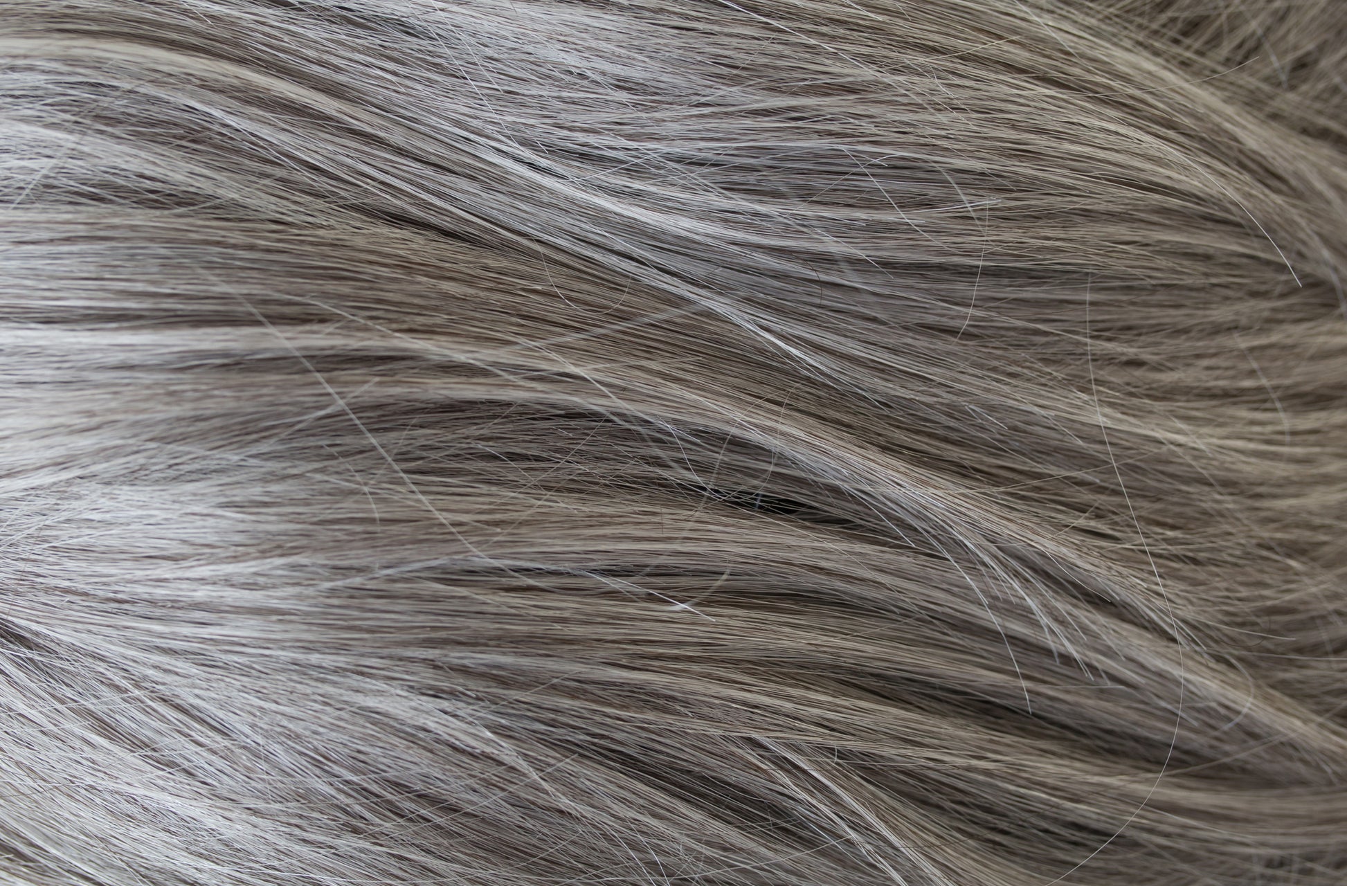 Close-up of gray and brown hair strands